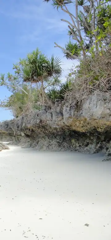 โรงแรมในนุงวี