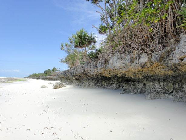 Nungwi Beach