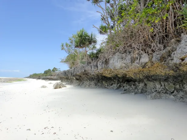 Nungwi Beach