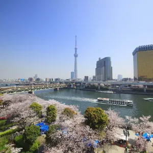 隅田公園