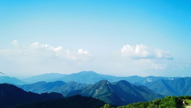 huang mao jian xing kong lu ying