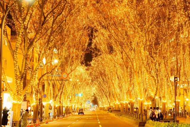 Sendai Pageant of Starlight | Sendai