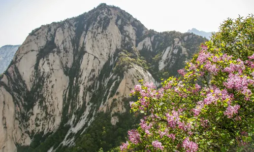Mount Hua