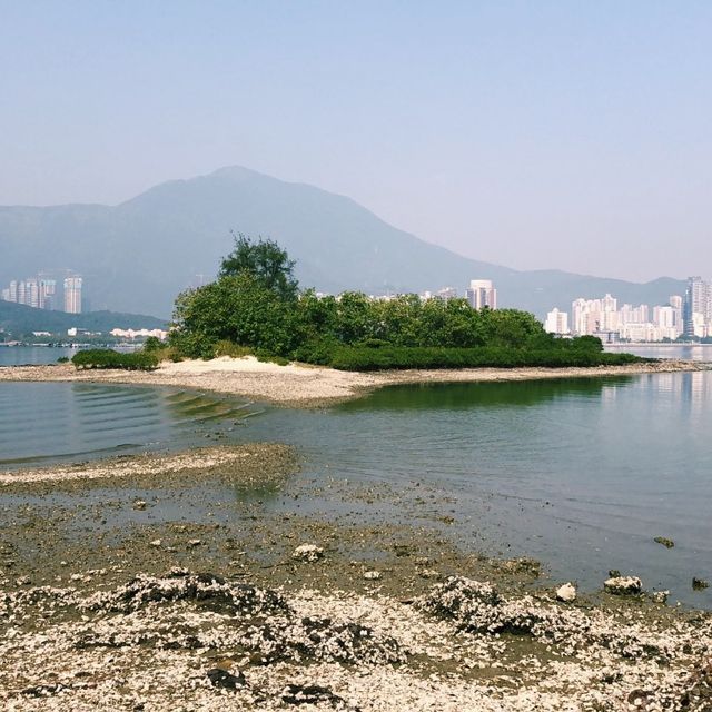 輕鬆行山-鹿頸遊 | 全程平坦路，新手也可以！