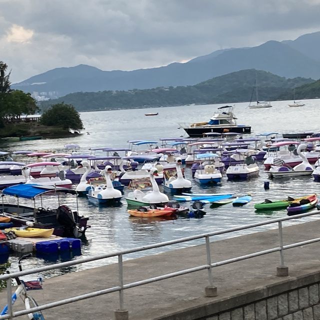 船灣淡水湖集水區