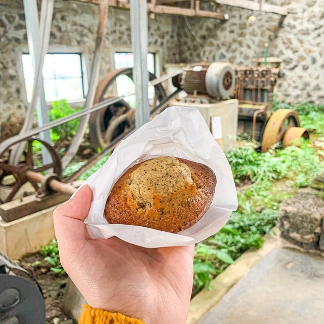 마들렌 맛집 제주 '앤트러사이트'