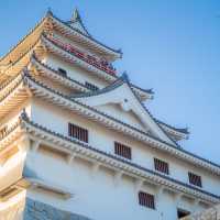 佐賀で行きたい海中レストラン