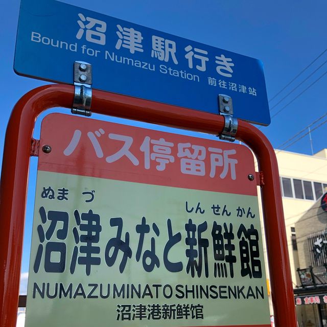 【沼津】沼津港で魚を食べ尽くせ！