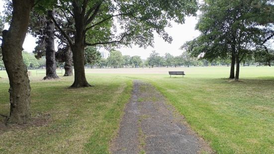 Hospital Corner Grounds