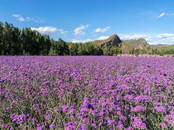 바이리산수이화랑