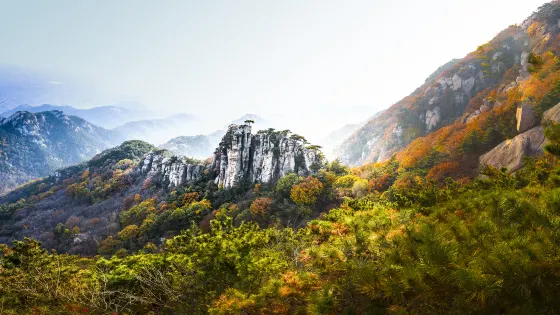 峯山國家森林公園