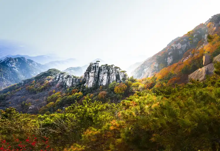 Hotels in der Nähe von Fengshan National Forest Park