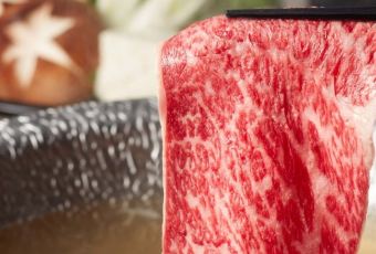 MomoParadise（歌舞伎町本店）用戶圖片