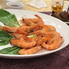 陸園張用戶圖片