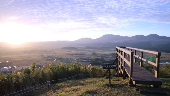 The 2nd item is 50% off|Kumamoto Aso 1-day tour: Kumamoto Castle + Aso Kusanari daily departures