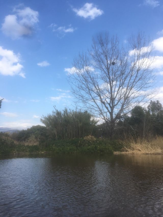 Qionghai National Wetland Park