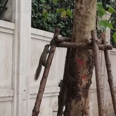 Green & Safe User Photo