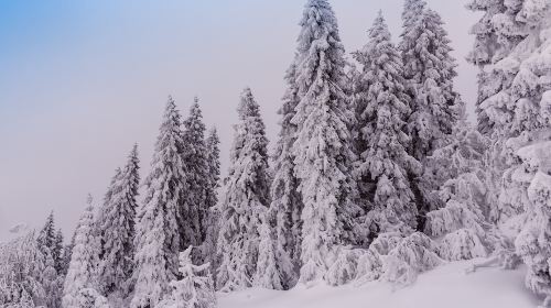 Cypress Mountain