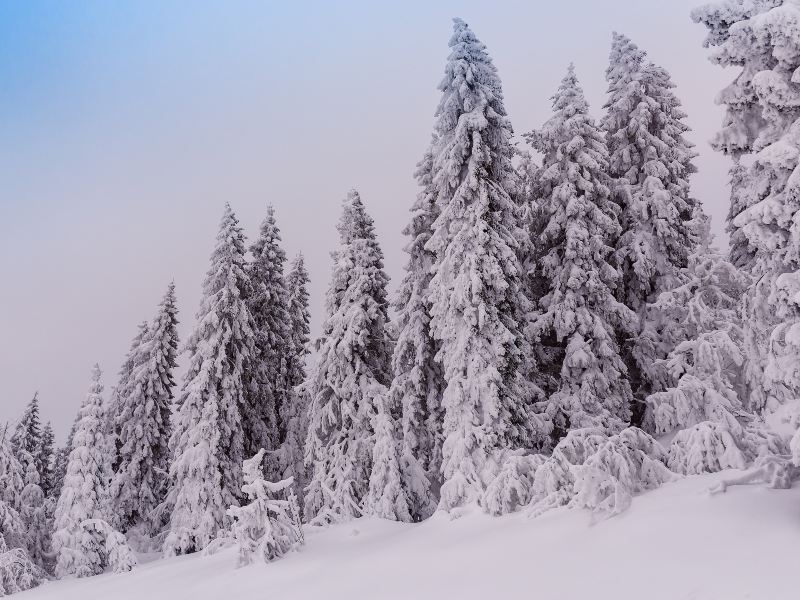 Cypress Mountain