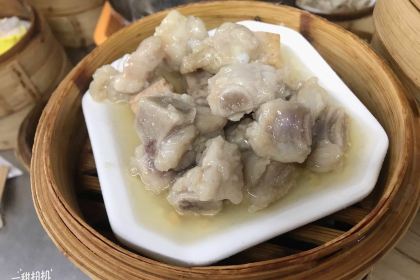 Bendaozhoucheng (fengdunanlu)