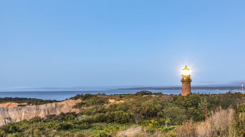 瑪莎葡萄園島