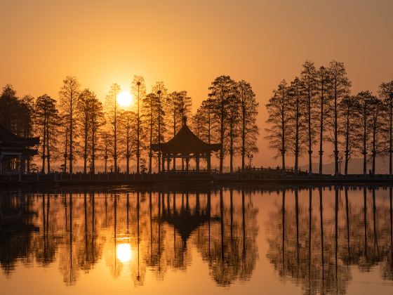 Donghu Ecology Tourism Area