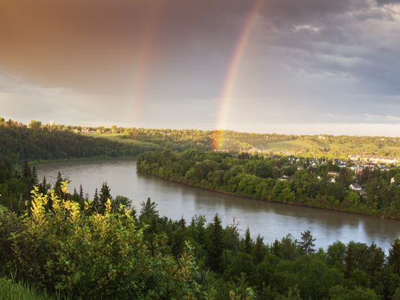 Edmonton River Valley