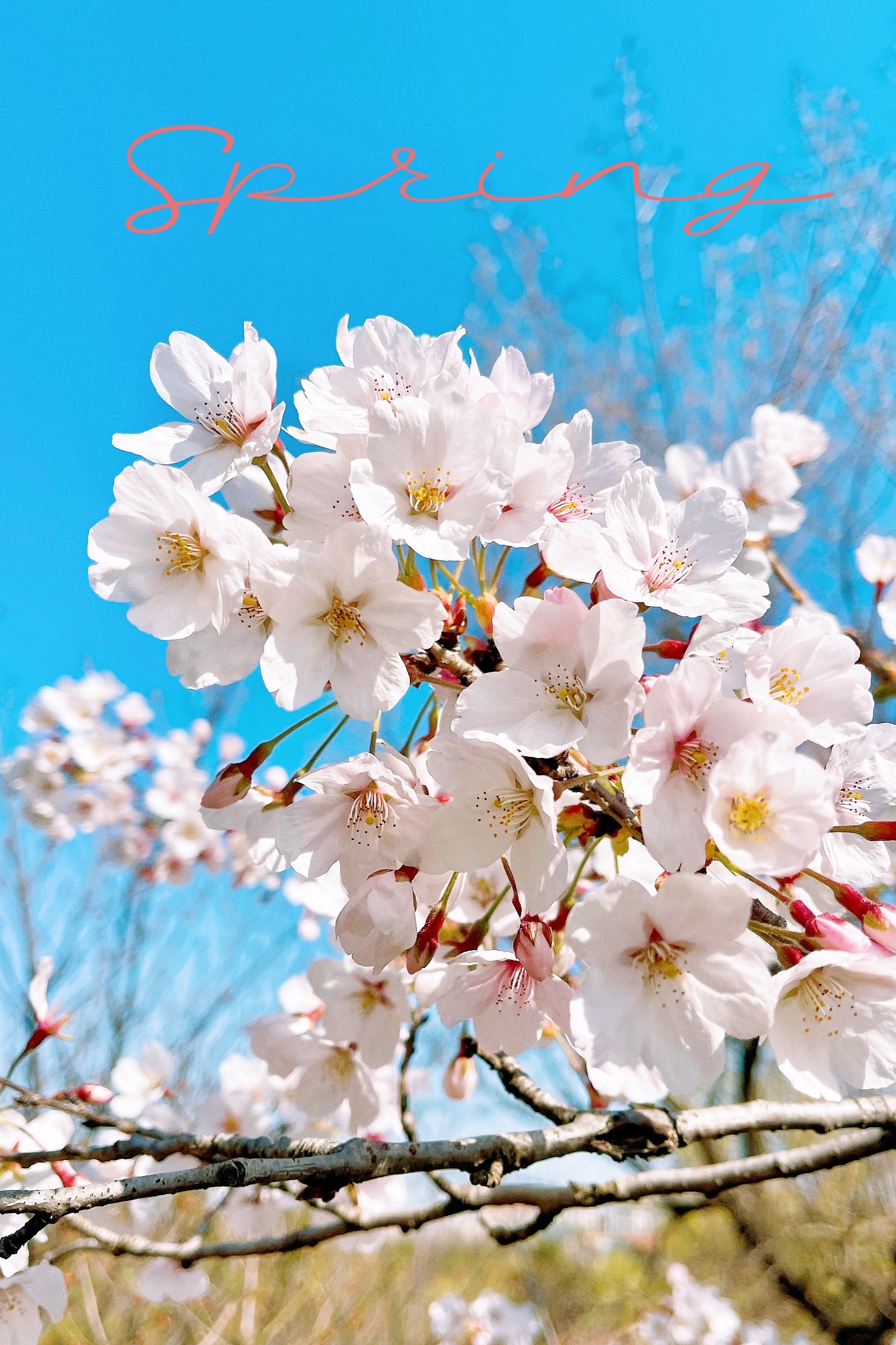 Shimei An Scenic Area Attraction Reviews Shimei An Scenic Area Tickets Shimei An Scenic Area Discounts Shimei An Scenic Area Transportation Address Opening Hours Attractions Hotels And Food Near Shimei An Scenic Area