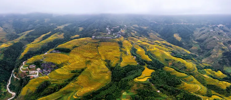Отзывы об отеле Muyi Panorama Homestay (Longji Rice Terraces Jinfodian Viewing Platform)