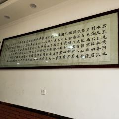 Tian FaYa User Photo