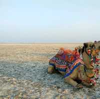 Rann of Kutch-Gujarat, India