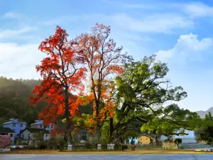 Sanwangaibian Sceneic Area