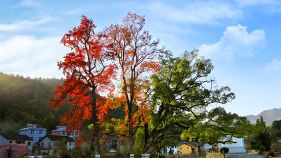 Sanwangaibian Sceneic Area