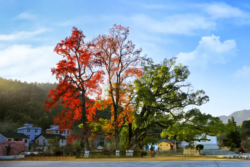 Sanwangaibian Sceneic Area