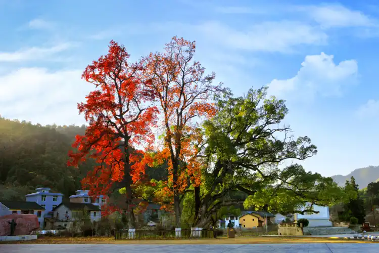 Hotels in Yongxin