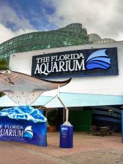 The Florida Aquarium