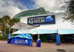 The Florida Aquarium