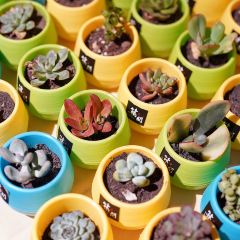 筑间幸福锅物(BFC外滩金融中心店) User Photo