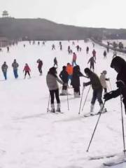 望海樓滑雪場