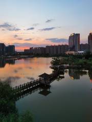 Binyang Fenghuanghu Park