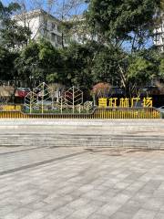 Qingganglin Square
