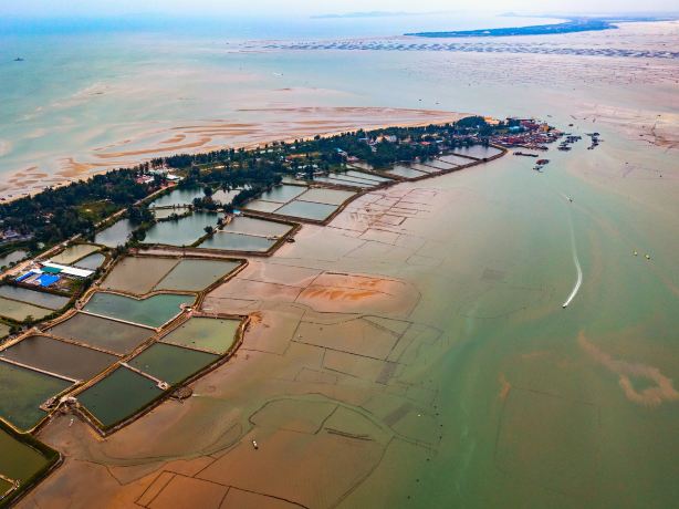 Dongxing Jing Island Scenic Area