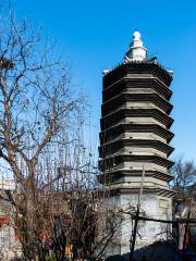 Wansong Old Man Tower