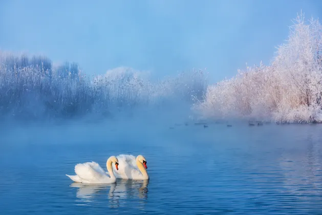 3-звездочные отели в г. Иньинг