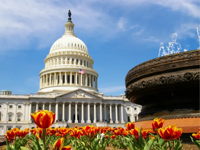 The Capitol building, Washington D.C.