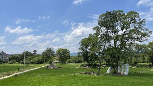 白溪江共享田園