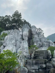Bijia Mountain Ecological Reserve, Guangdong