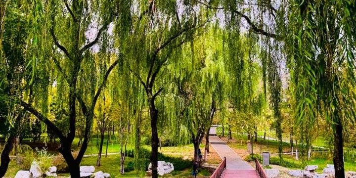 Yuechi Longhu Park