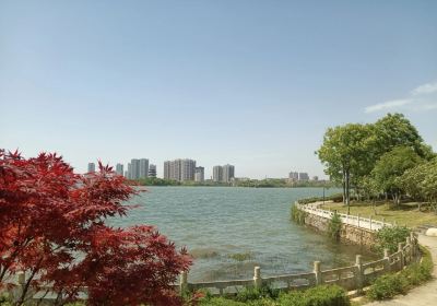 Erqiao Park