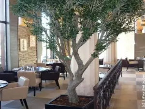 Il Ristorante